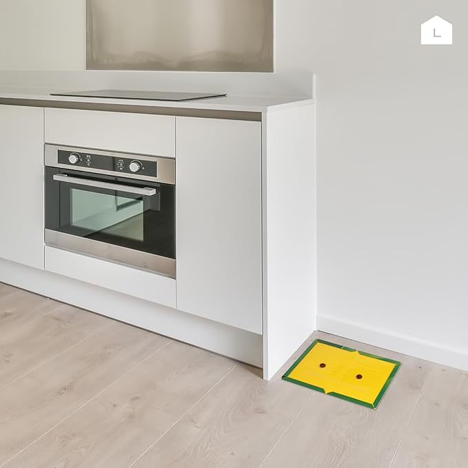 Super sticky mouse glue for catching rodents without toxic materials