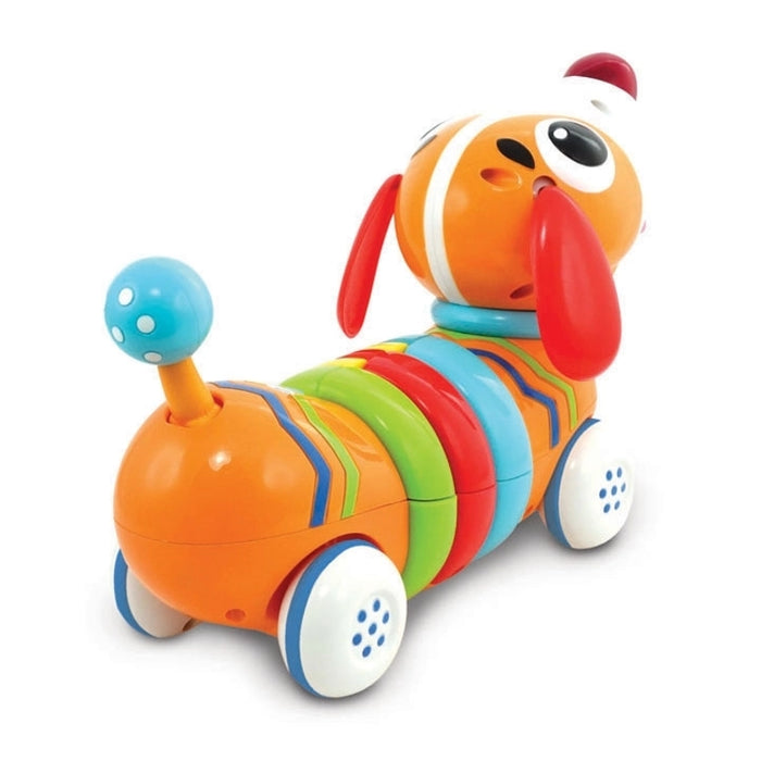 RC Rainbow Pup