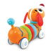 RC Rainbow Pup