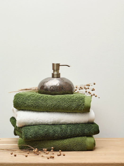 بشكير ضيوف قطن 30*50 سم من Aquanova London - أخضر