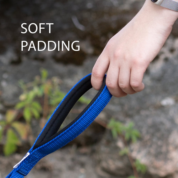 مقود نايلون أزرق 120 سم بمقبض مبطن للكلاب من Ferplast