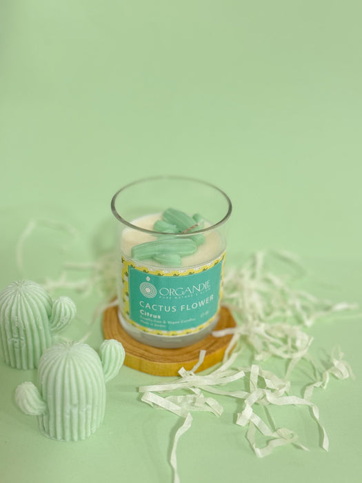 شمعة كاكتوس فلاور 100% شمع صويا عطر الحمضيات لجو مفعم بالطاقة