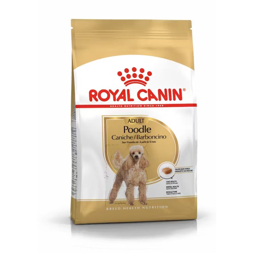 طعام جاف لكلاب البودل البالغة، 1.5كغ من ROYAL