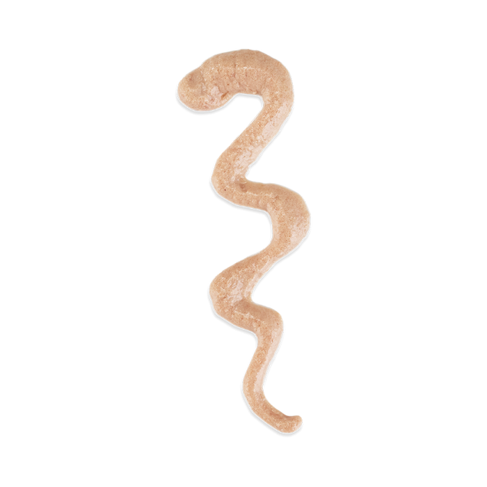 SCHESIR STIX أكياس للقطط 12X6X15G تشكيلة دجاج وبط وسلمون غنية بالبروتين