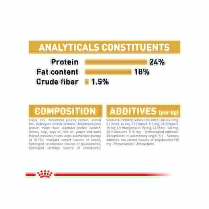 طعام جاف لكلاب المالطي البالغة، 1.5كغ من ROYAL
