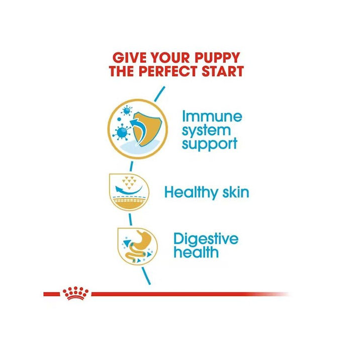 طعام جاف لجِراء الباج، 1.5كغ من ROYAL