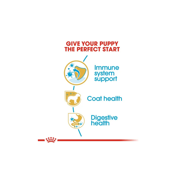 طعام جاف لجِراء يوركشاير تيرير، 1.5كغ من ROYAL