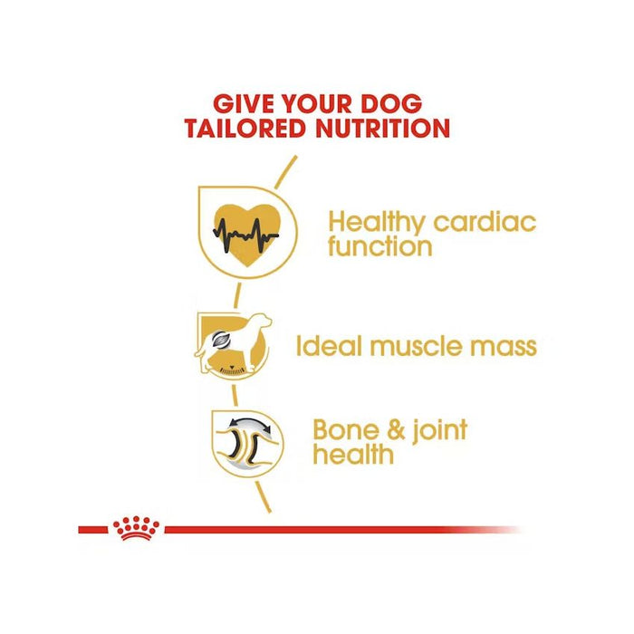 طعام جاف لكلاب الروت وايلر البالغة، 12كغ من ROYAL