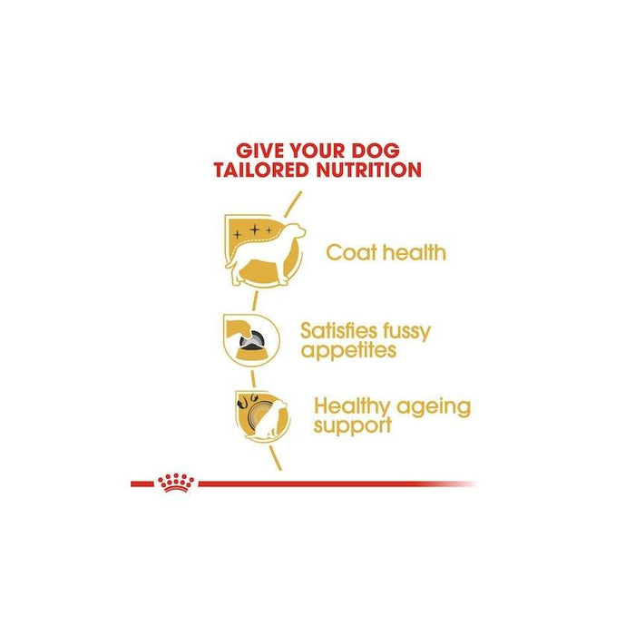 طعام جاف لكلاب يوركشاير تيرير البالغة، 1.5كغ من ROYAL