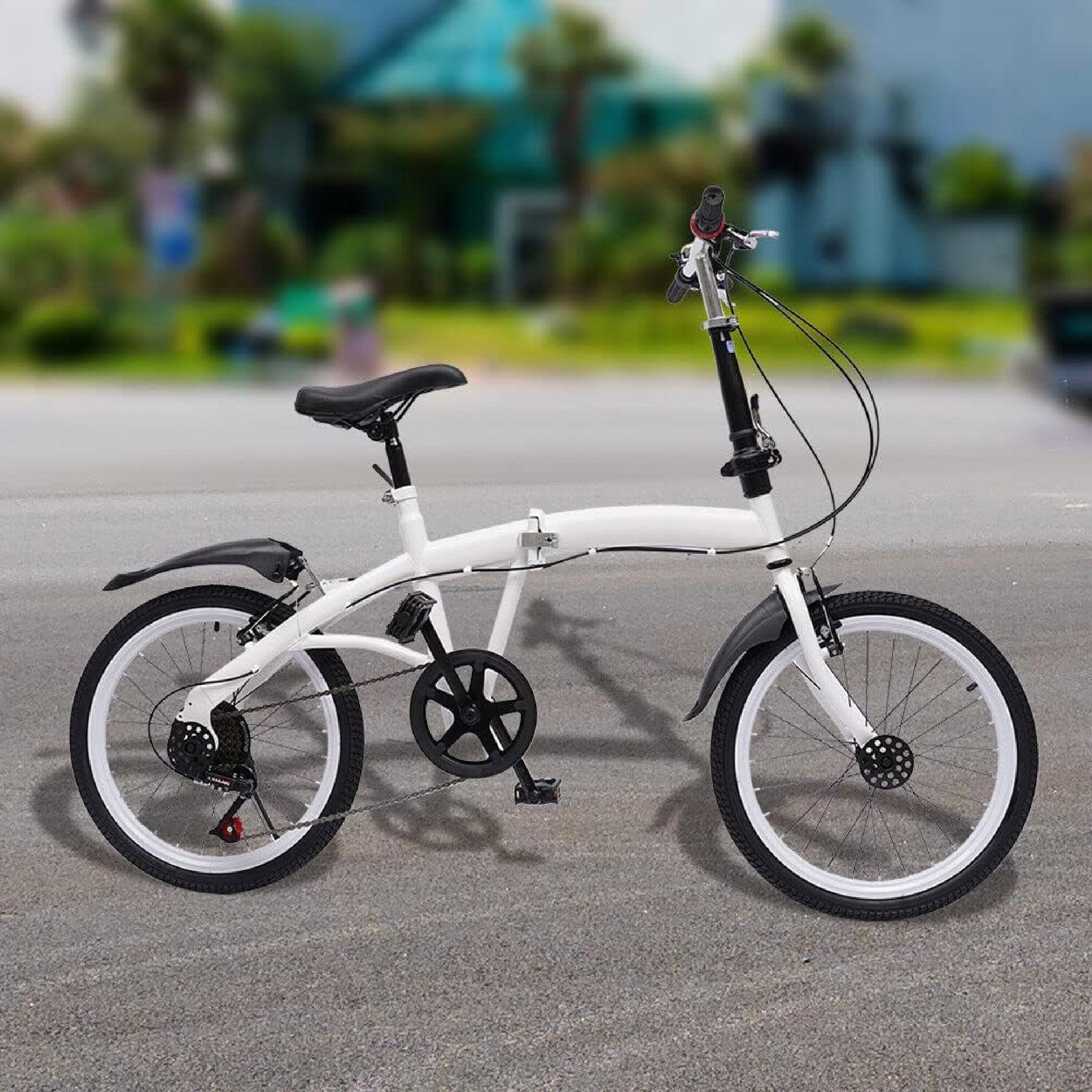 Folding bicycle (20 inch) Folding bicycle (20 inch)