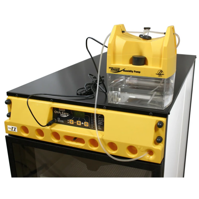 حاضنة نظام تقليب آلي كامل، وتحكمًا رقميًا دقيقًا في الرطوبة بسعة 400 بيضة