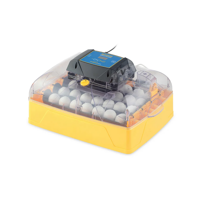 حاضنة البيض OVATION 28 EX EGG بتدوير أوتوماتيكي وتحكم رقمي