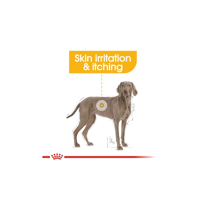 طعام جاف للكلاب الكبيرة للعناية بالجلد، 3كغ من ROYAL