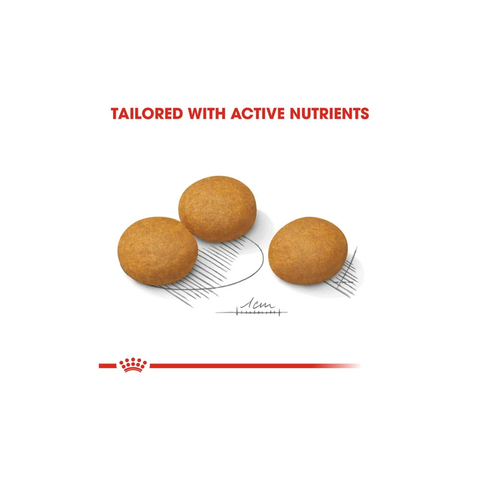 طعام جاف للكلاب الكبيرة للعناية بالجلد، 3كغ من ROYAL