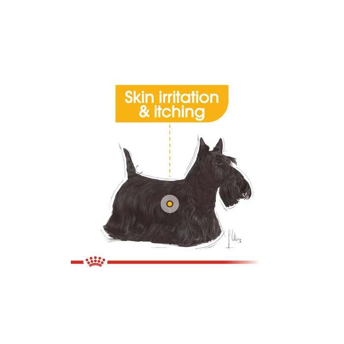 طعام جاف للكلاب الصغيرة للعناية بالجلد، 3كغ من ROYAL