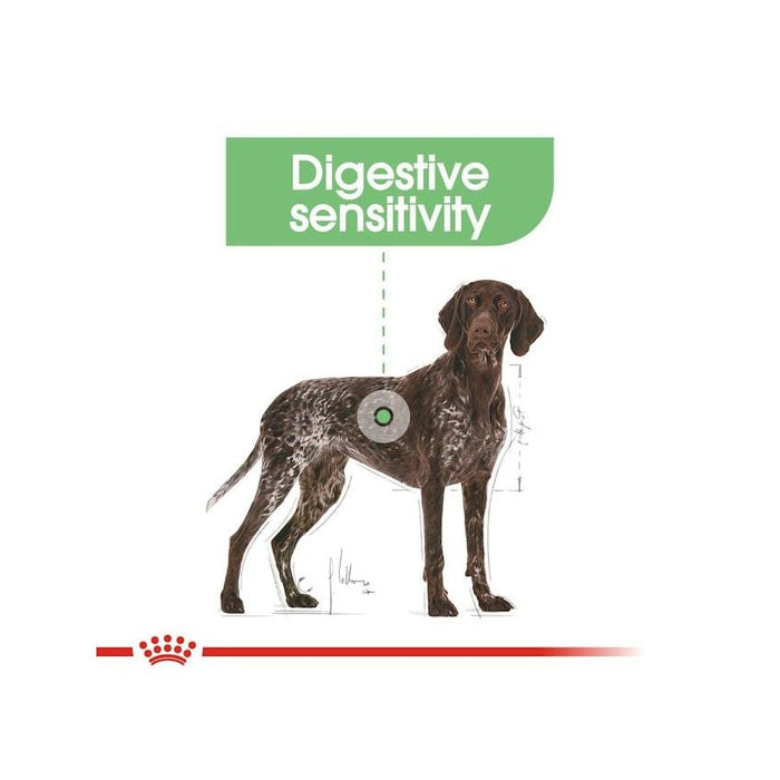 طعام للكلاب الكبيرة للعناية الهضمية، 12كغ من ROYAL