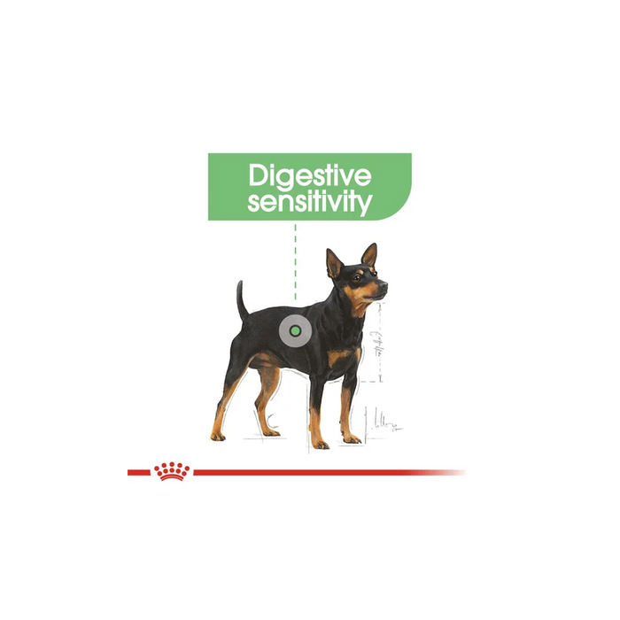 طعام جاف للكلاب الصغيرة للعناية الهضمية، 3كغ من ROYAL