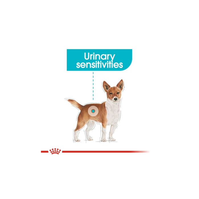 طعام جاف للكلاب الصغيرة للعناية بالمسالك البولية، 3كغ من ROYAL