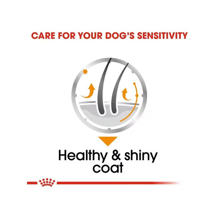 طعام رطب باتيه للكلاب للعناية بالفراء، 12×85غ من ROYAL