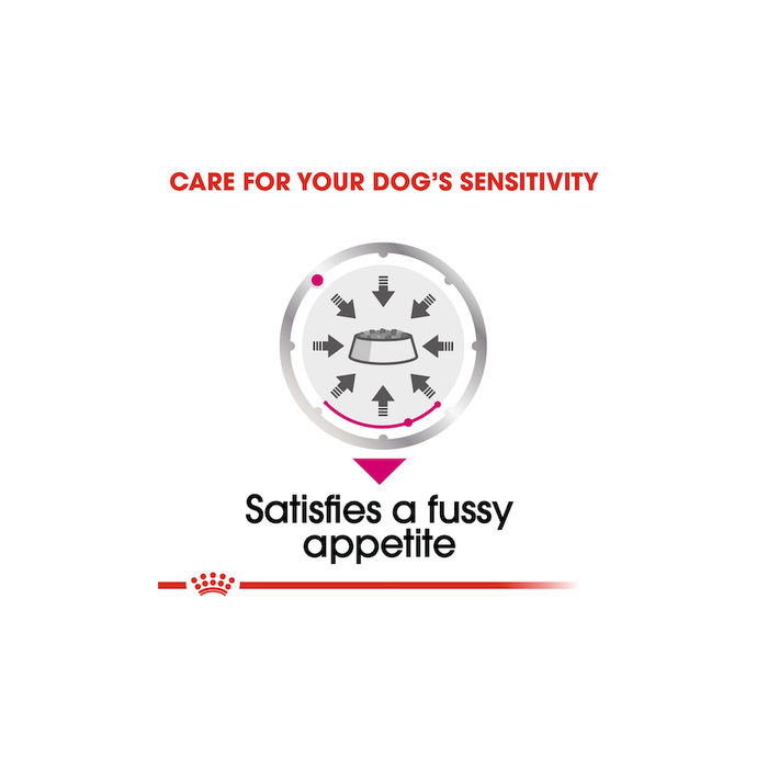 طعام رطب لوف للكلاب الانتقائية، 12×85غ من ROYAL