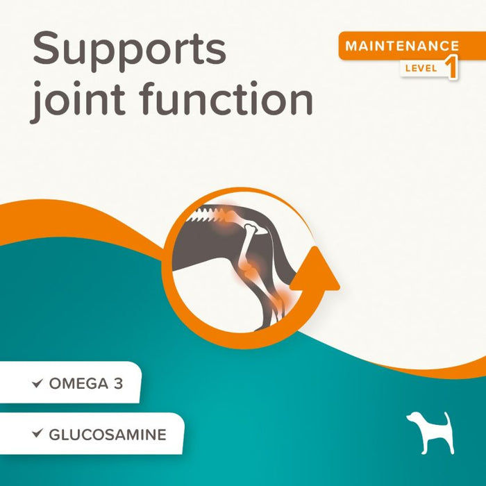مكافآت فليكسيفيت بيوفار 150 جرام للكلاب، بأوميغا 3، جلوكوزامين، وكالسيوم لدعم المفاصل.