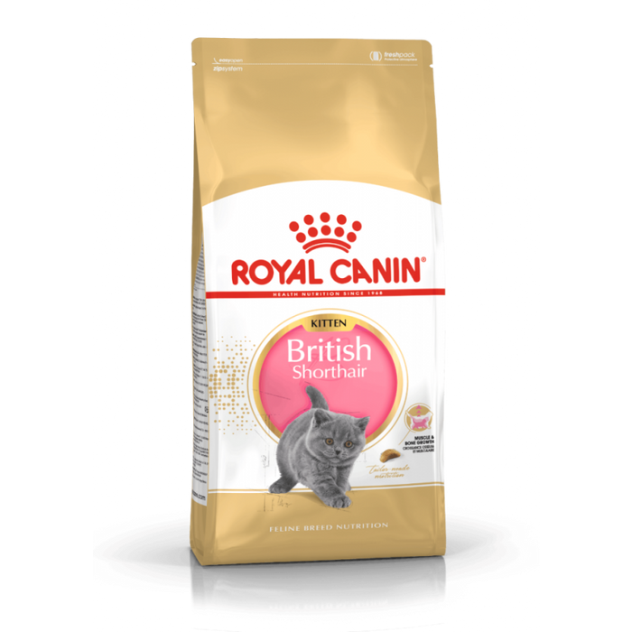 طعام جاف لهررة البريطاني قصير الشعر، 2كغ من ROYAL