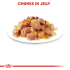 طعام رطب هلام للقطط 12+ سنوات، 12×85غ من ROYAL