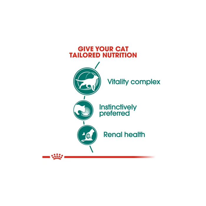 طعام رطب للقطط البالغة، من ROYAL