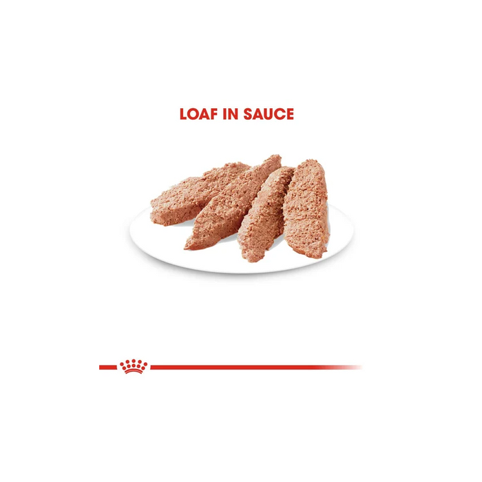 طعام رطب لوف للقطط البالغة، 12×85غ من ROYAL