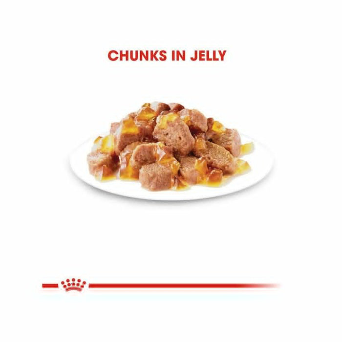 طعام رطب هلام للقطط البالغة، 12×85غ من ROYAL