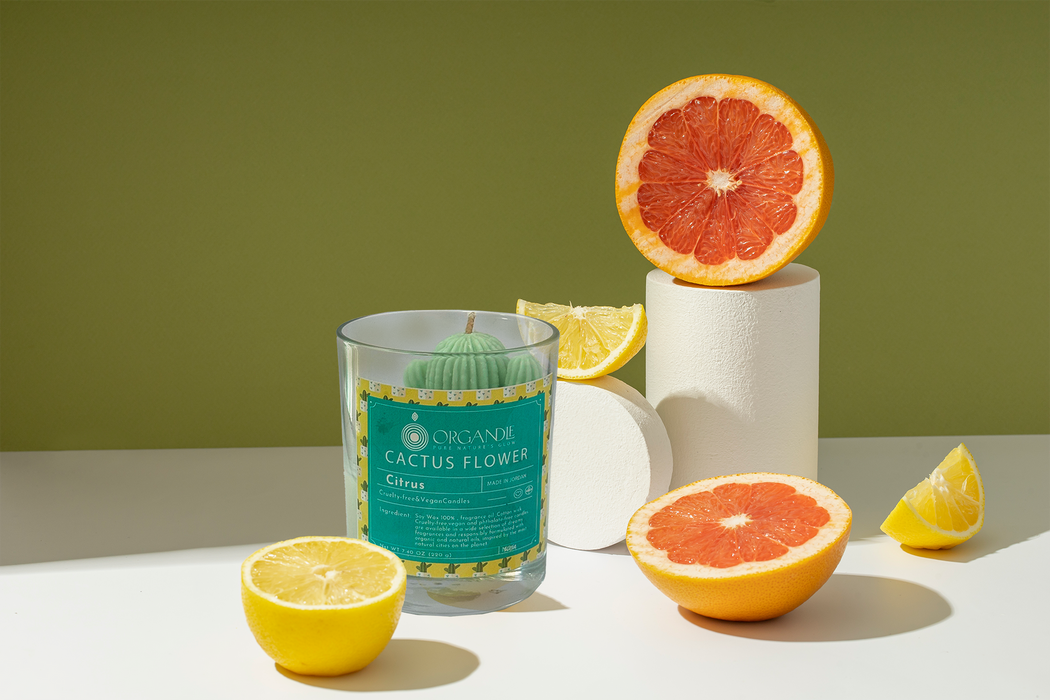 شمعة كاكتوس فلاور 100% شمع صويا عطر الحمضيات لجو مفعم بالطاقة