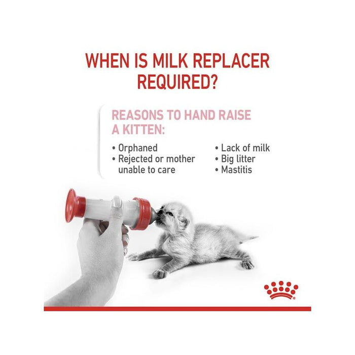 حليب بديل للقطط من الولادة حتى الفطام، 300غ من ROYAL