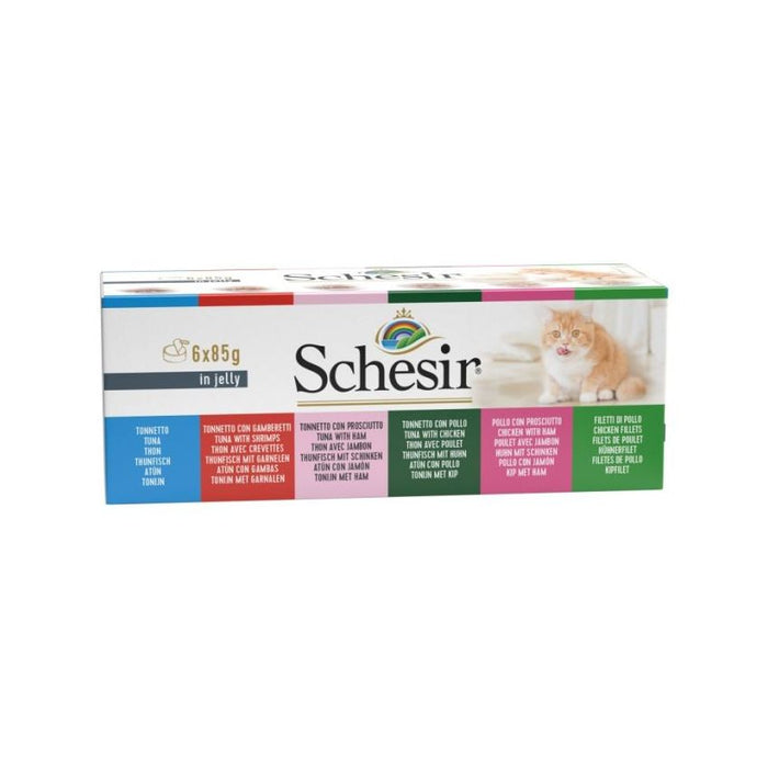 SCHESIR 4300 طعام قطط مجموعة 6×85g في هلام حزمة متعددة للقطط