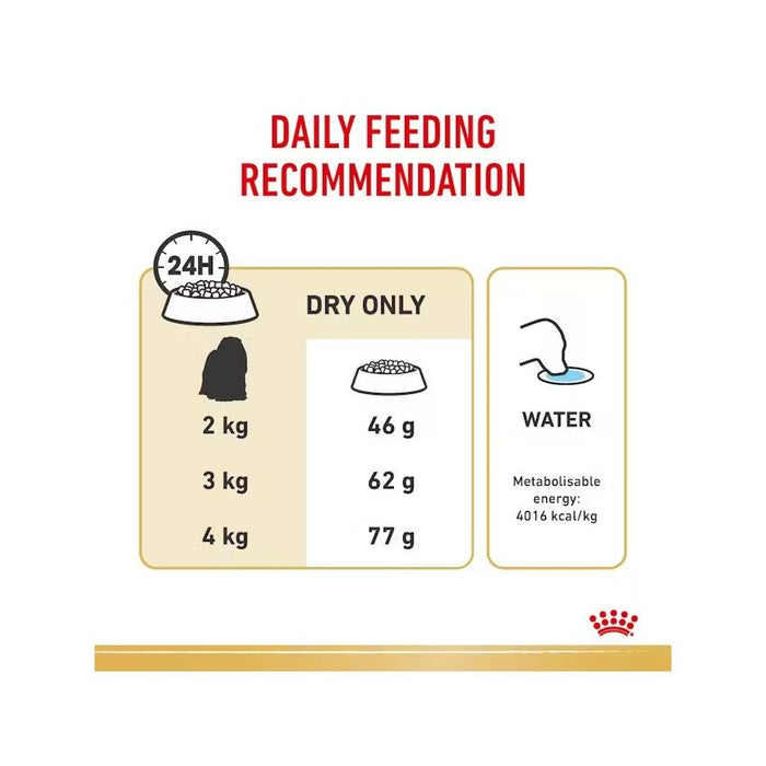 طعام جاف لكلاب المالطي البالغة، 1.5كغ من ROYAL
