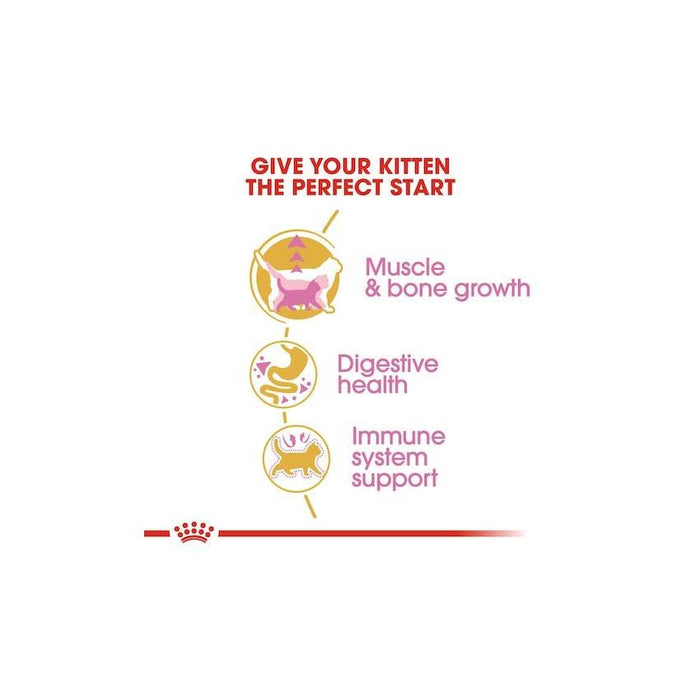 طعام جاف لهررة البريطاني قصير الشعر، 2كغ من ROYAL