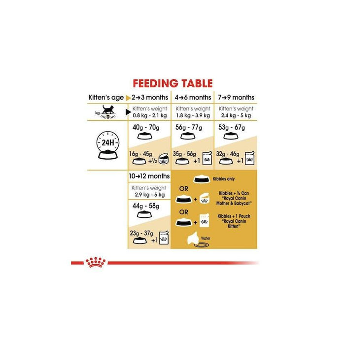 طعام جاف لهررة البريطاني قصير الشعر، 2كغ من ROYAL