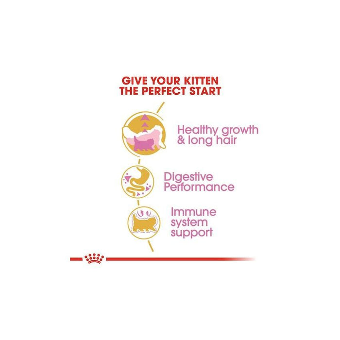 طعام جاف لهررة الفارسي، 400غ من ROYAL