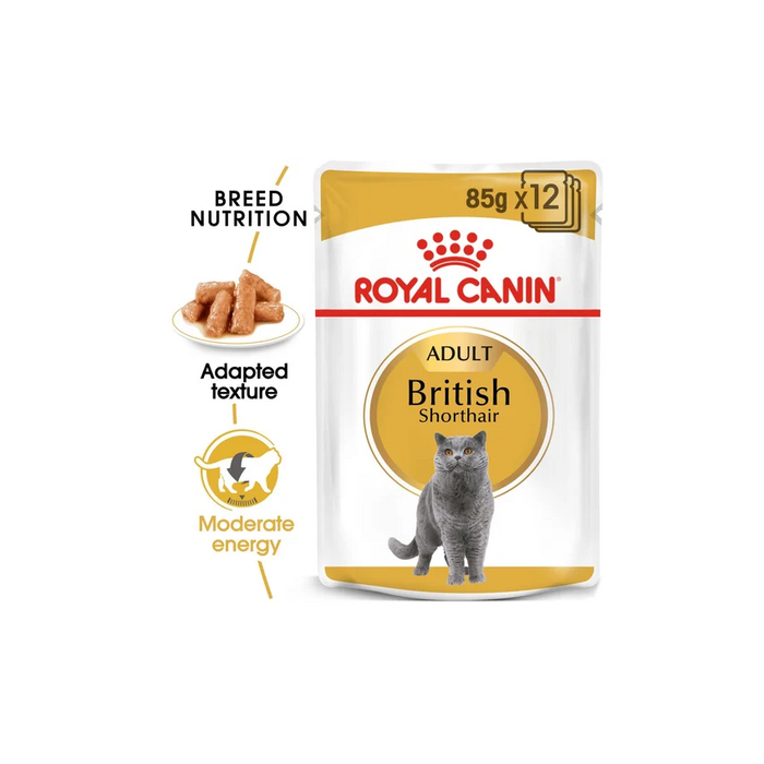 طعام رطب صلصة لقطط البريطاني قصير الشعر، 12×85غ من ROYAL