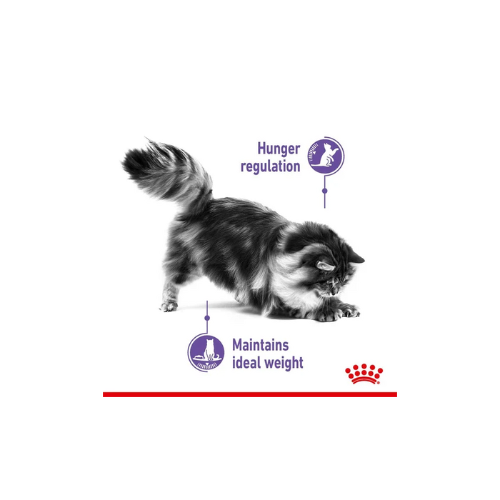 طعام جاف للقطط المعقمة للتحكم بالشهية، 2كغ من ROYAL