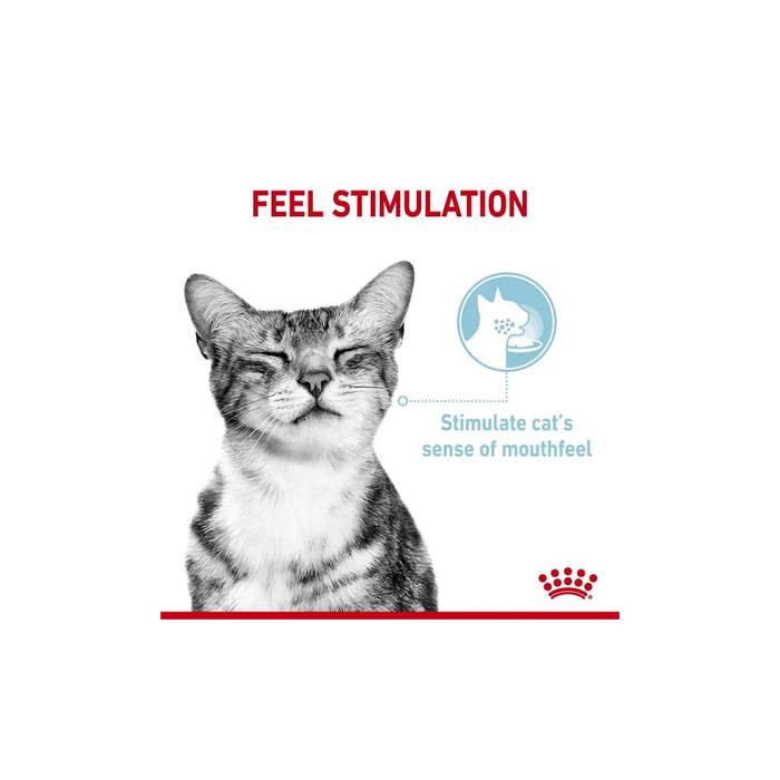 طعام رطب مرق للقطط لتحسين الملمس، 12×85غ من ROYAL