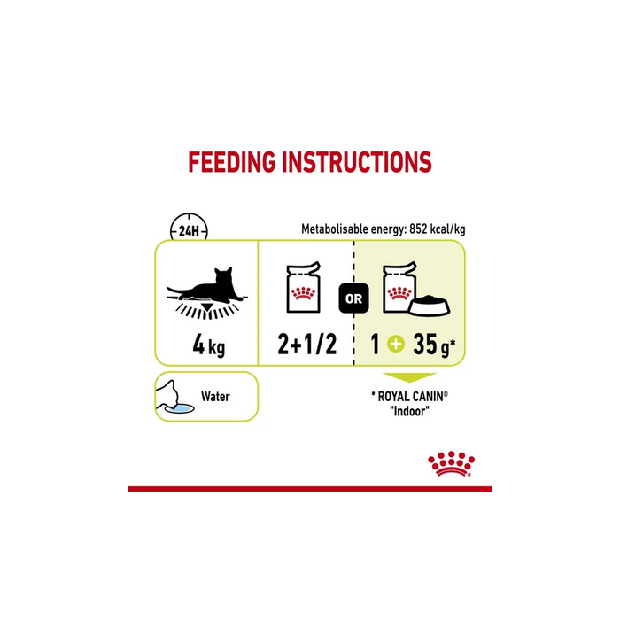 طعام رطب للقطط لتحفيز حاسة الشم، 12×85غ من ROYAL