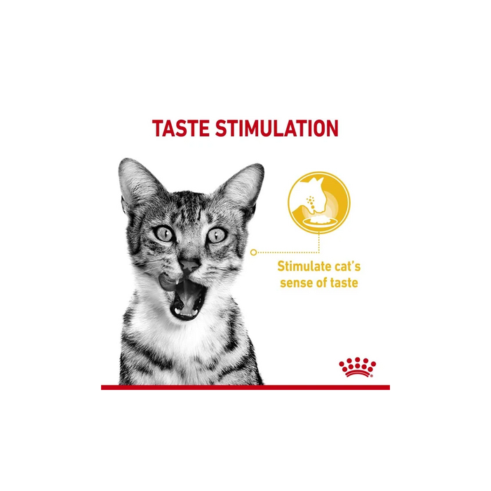 طعام صلصة للقطط لتحسين المذاق، 12×85غ من ROYAL