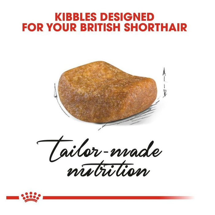 طعام لقطط البريطاني قصير الشعر البالغة، 2كغ من ROYAL