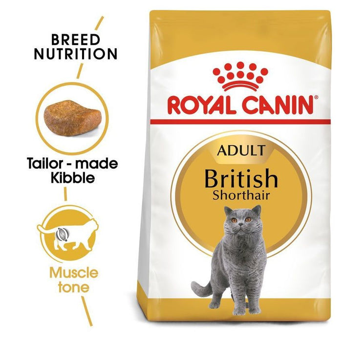 طعام لقطط البريطاني قصير الشعر البالغة، 2كغ من ROYAL