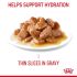 ROYAL Hair & Skin Care Cat Food, 12 x 85g ROYAL Hair & Skin Care Cat Food, 12 x 85g