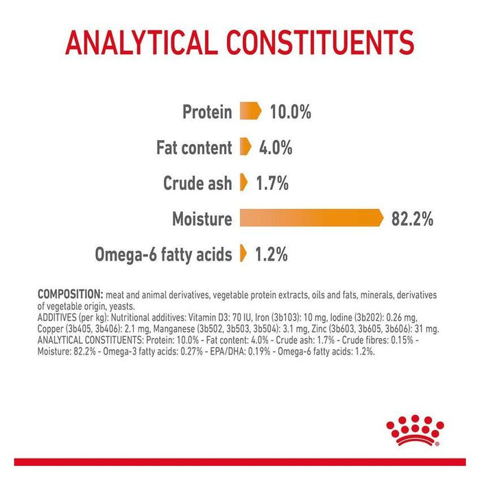 طعام هلام للقطط للعناية بالشعر والبشرة، من ROYAL