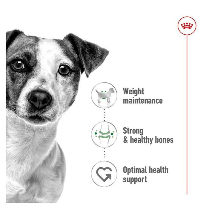 طعام رطب لوف للكلاب الصغيرة،من ROYAL