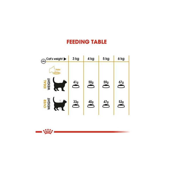 طعام للقطط للعناية بالشعر والبشرة، 400غ من ROYAL