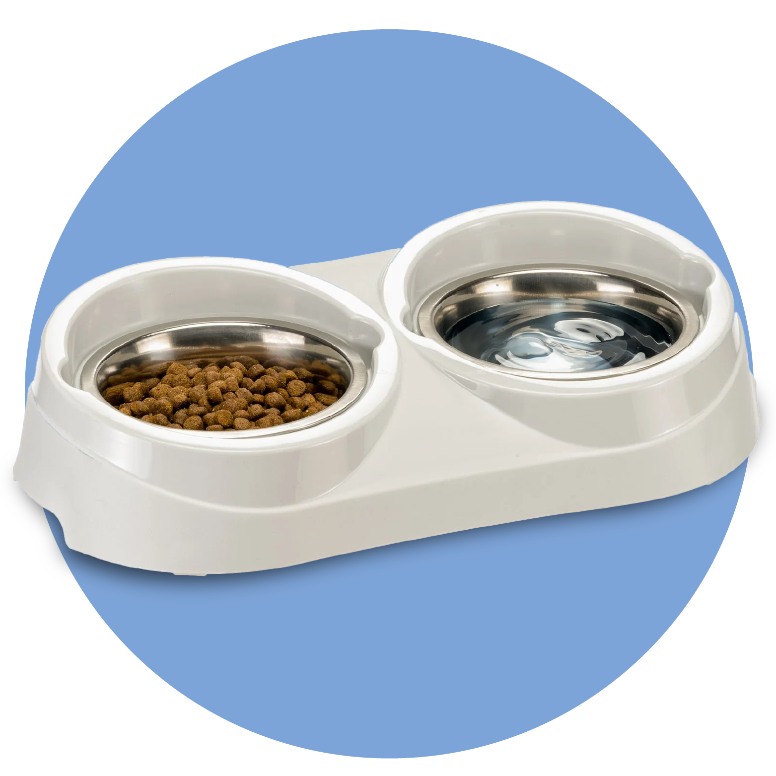 الحيوانات الأليفة