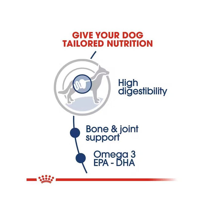 طعام رطب صلصة للكلاب الكبيرة الحجم، 10×140غ من ROYAL